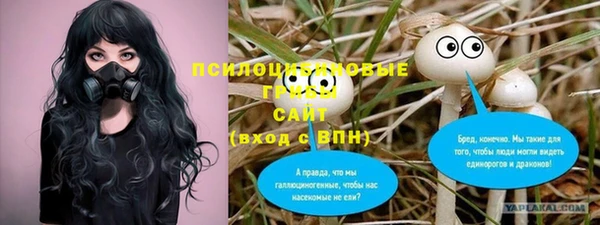 ALPHA PVP Алексеевка